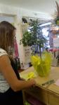 Emballage citronnier  - Boutique Vergez Tarnos